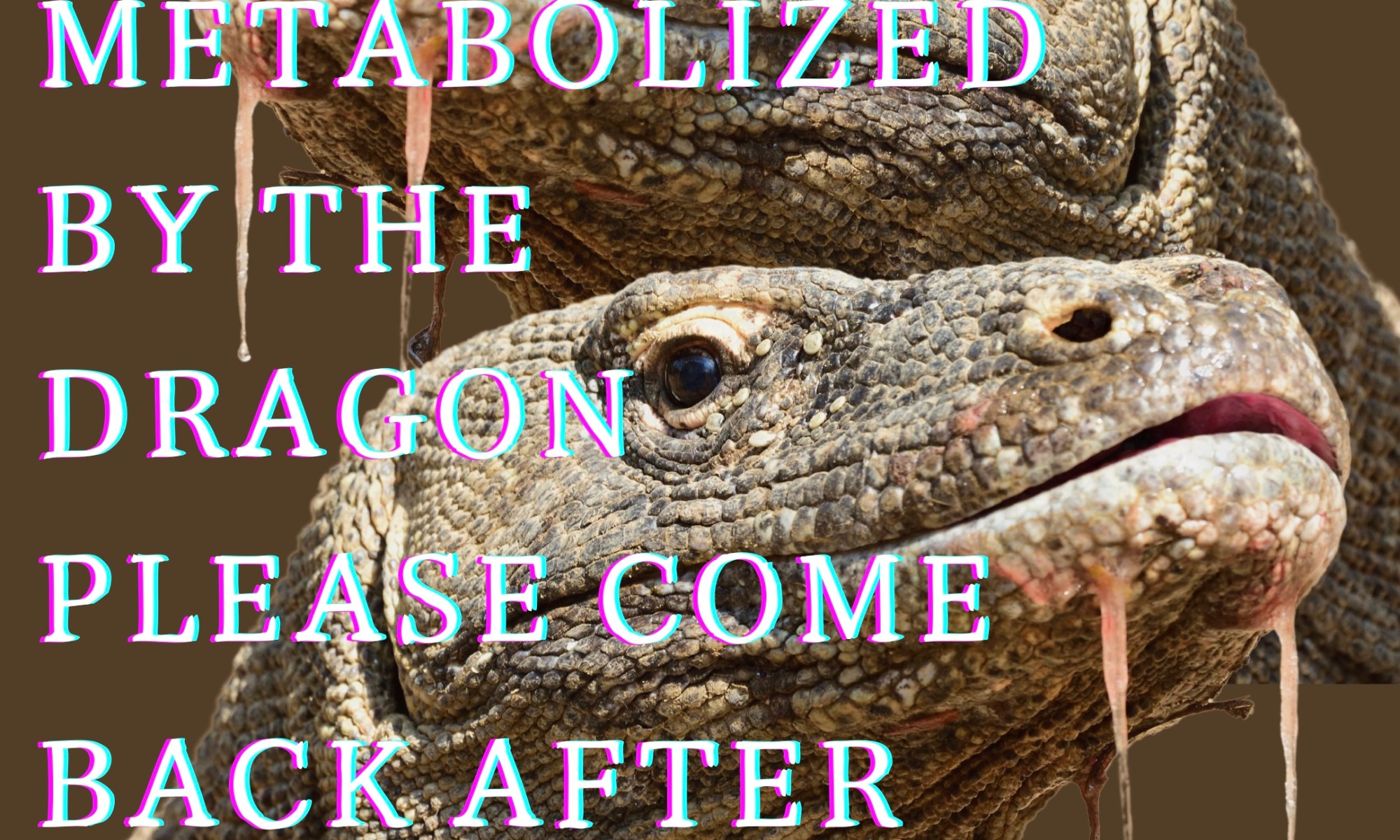 Image of a Komodo Dragon lizard’s head which is duplicated so there are two of the same photo. The lizard has red goo coming from its mouth as if it has just freshly eaten something. Text over the lizard reads: “BEING METABOLIZED BY THE DRAGON, PLEASE COME BACK AFTER ECLIPSE SEASON”