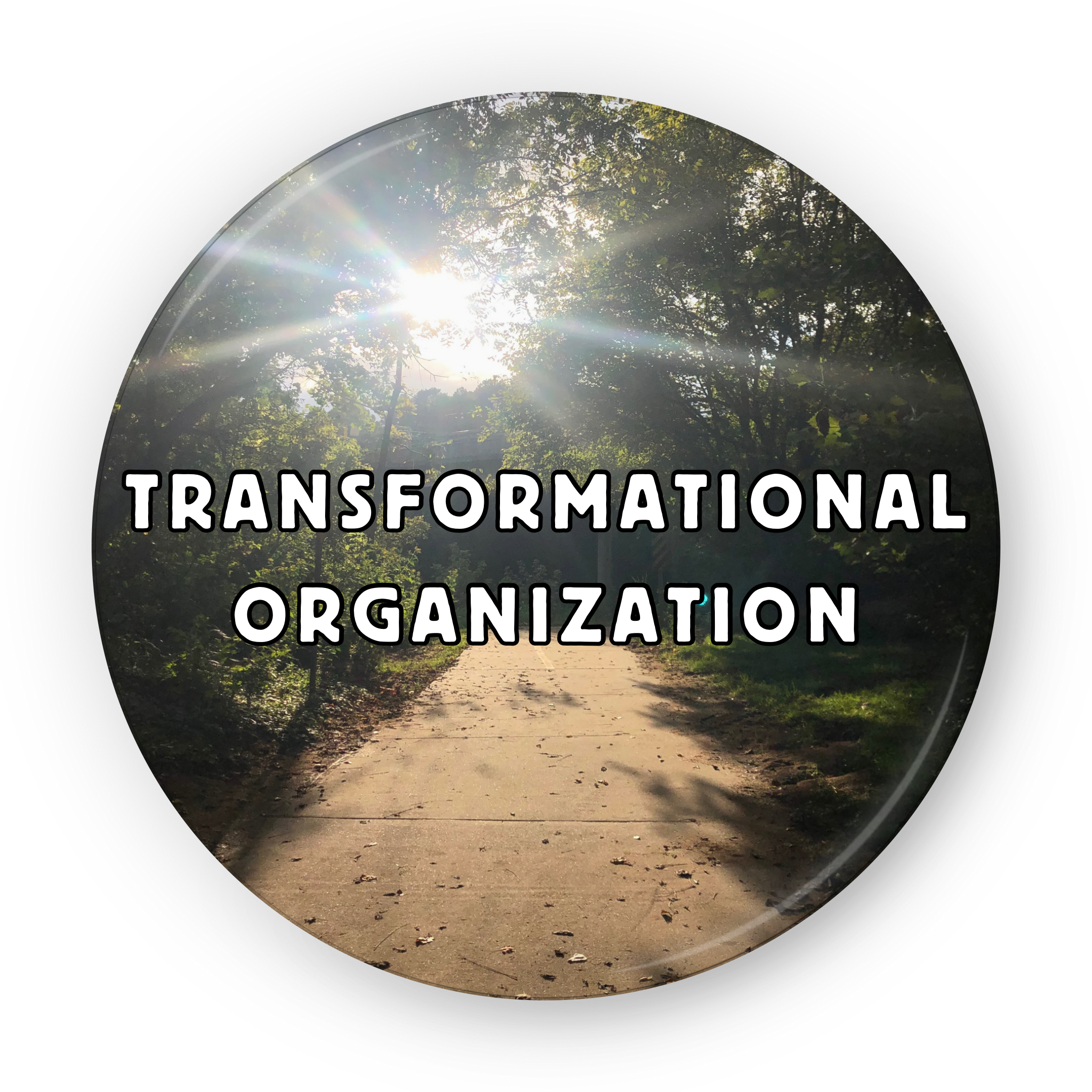 A button which is a photograph of a sunny path with the suns rays coming through the trees above. Text overlay on the button reads “TRANSFORMATIONAL ORGANIZATION”