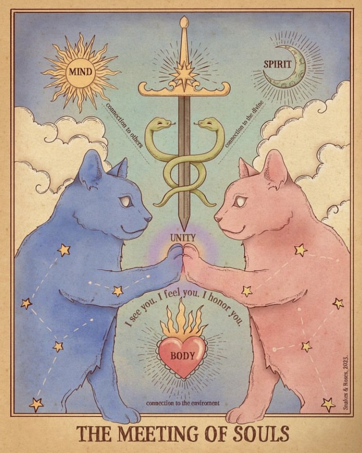 Illustration of two cats, one pink and one blue, each facing each other as if a mirror image with one paw up to the other. They have a star constellation inside their bodies and a sword with two snakes wrapped around it is hovering above and between them while a sacred heart on fire with the text “BODY” written inside hovers below. A sun and moon can be seen on either side in the sky. Text within the sun says “MIND,” text within the moon says “SPIRIT” Text runs from the sun to the blade which says “connection to others” Text runs from the moon to the blade which says “connection to the divine” Text beneath the the heart says “connection to the environment” Text above the cats connected paws says “UNITY” Text surrounding the sacred heart says, “I see you I feel you I honor you” Text at the bottom of the whole illustration reads large in bold “THE MEETING OF SOULS”