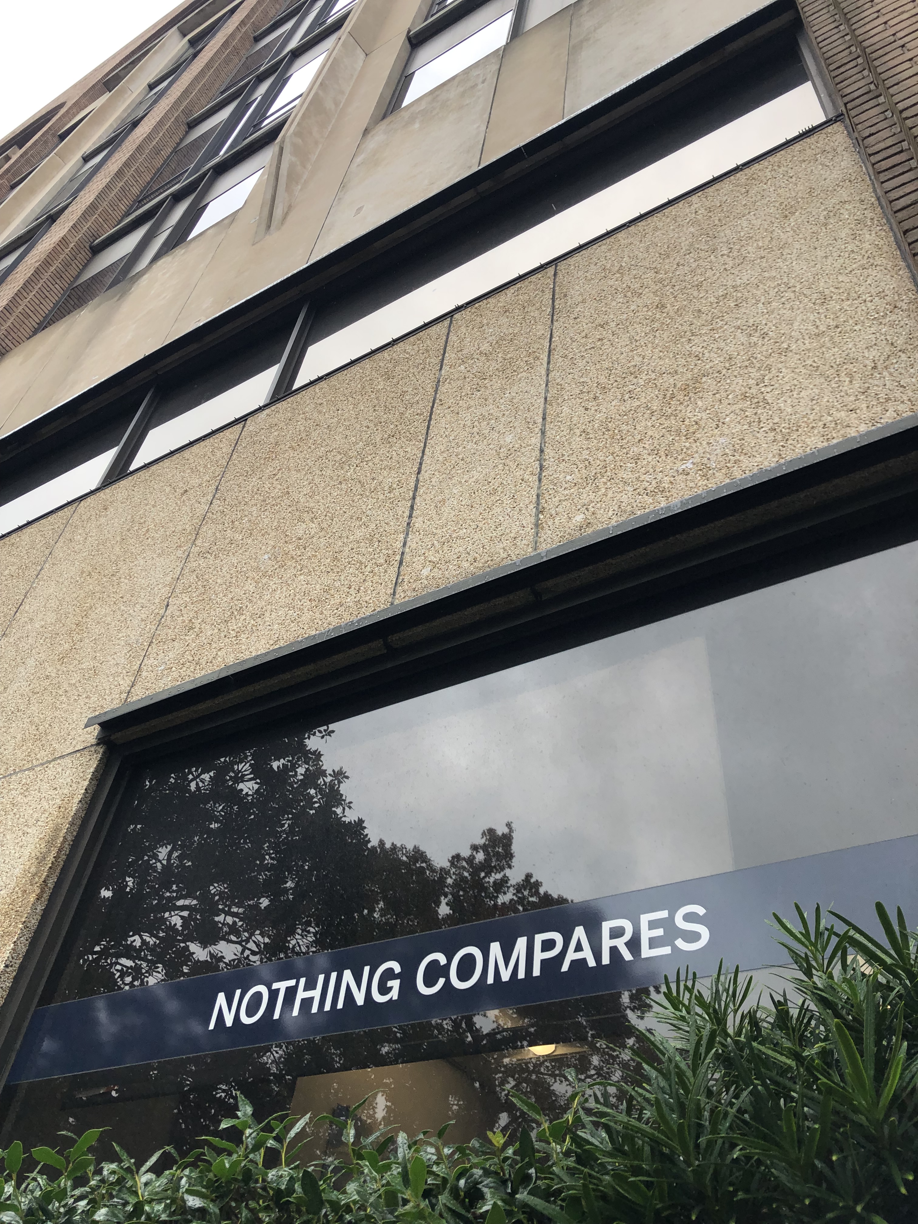 photograph of a large building looking into a giant window which just has a big text sign stuck to it that says “NOTHING COMPARES”
