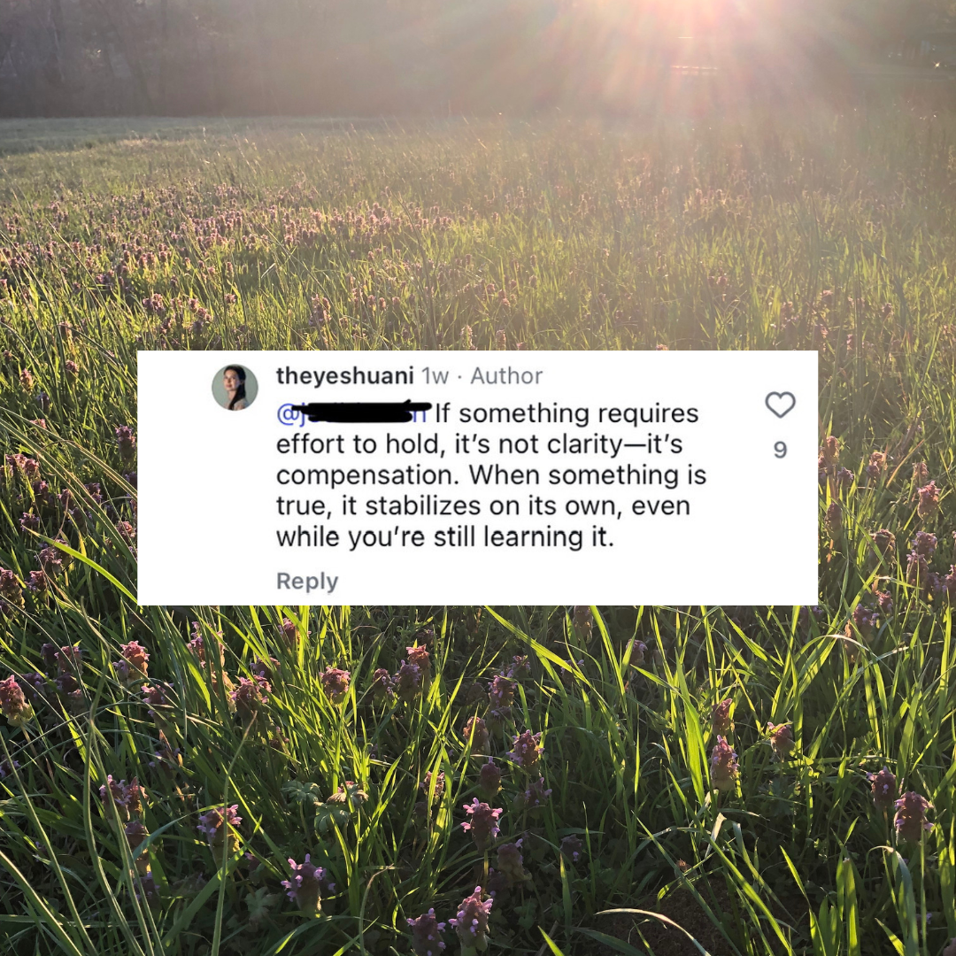 Background image of a field at sunset with sweet purple clovers. Screenshot from an instagram comment from @theyeshuani reads: “If something requires effort to hold, it’s not clarity—it’s compensation. When something is true, it stabilizes on its own, even while you’re still learning it.”