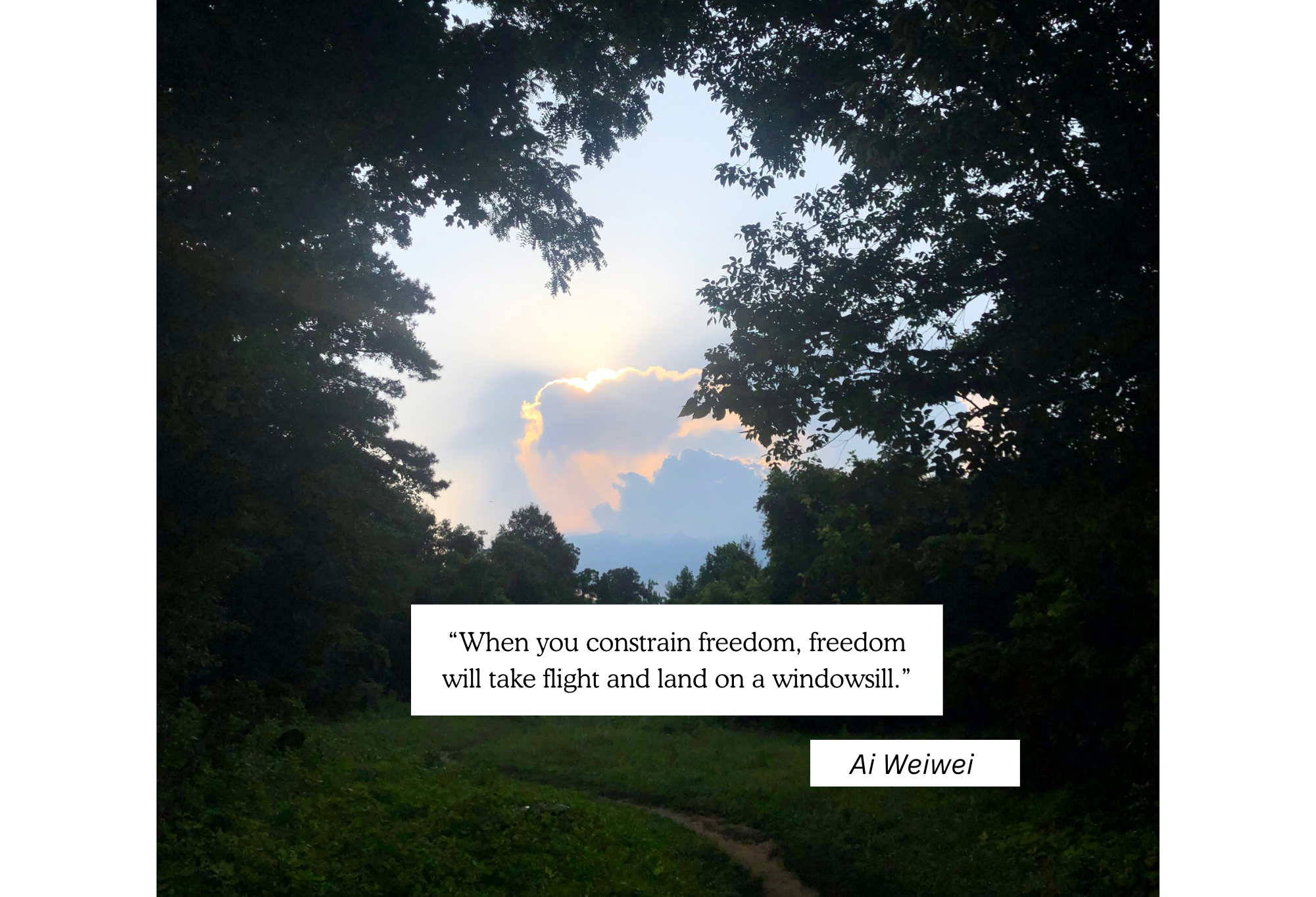 photograph of a lush green trail on a hot summer day. the tree canopy is creating a circle opening to the hazy sky and sun behind a cloud. text overlay reads: “When you constrain freedom, freedom will take flight and land on a windowsill.” ― Ai Weiwei 