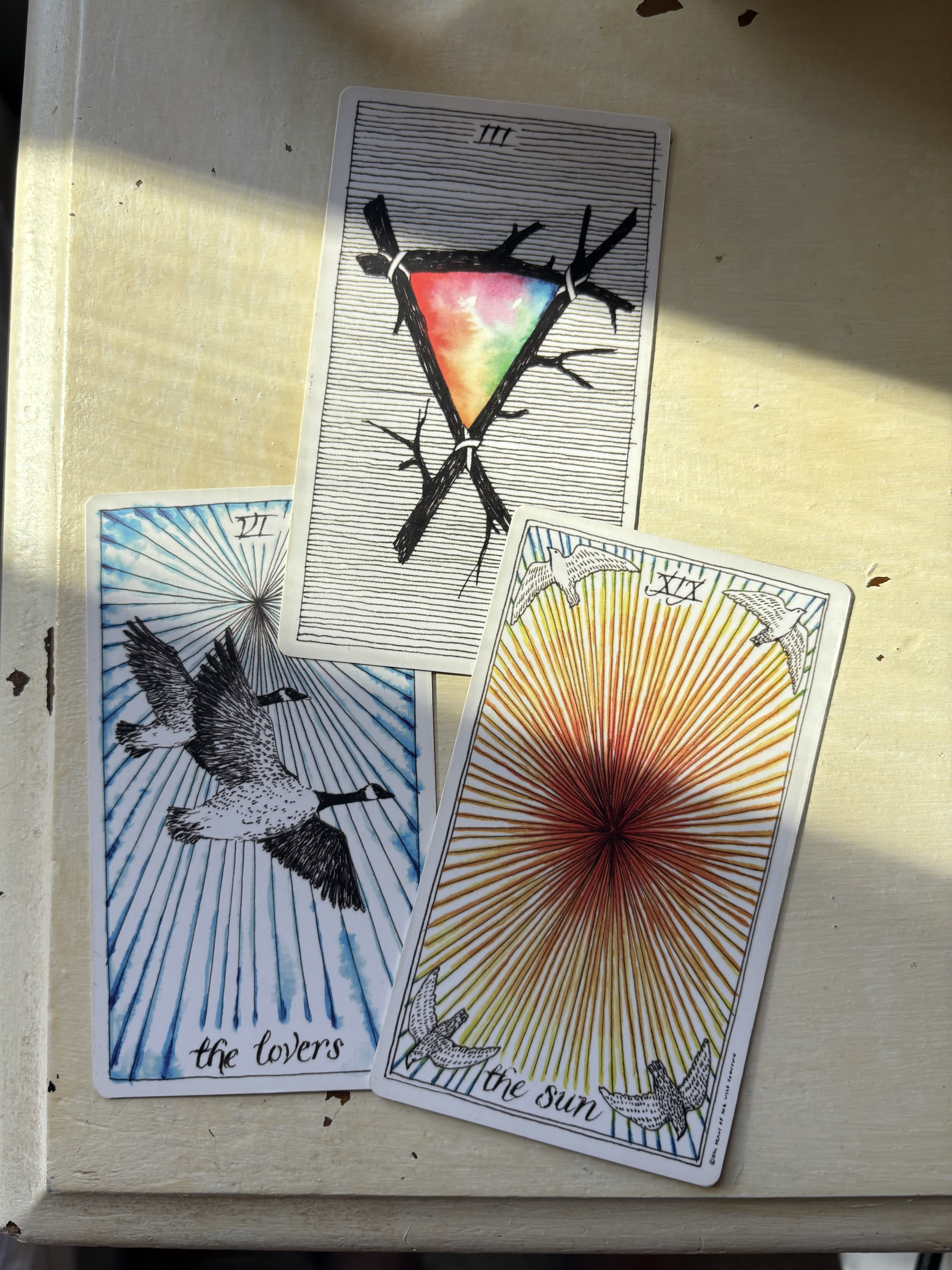 Photograph of three tarot cards from the Wild Unknown tarot sitting on a white table top in the sunshine. The cards are, The lovers, The 3 of Wands, and The Sun.